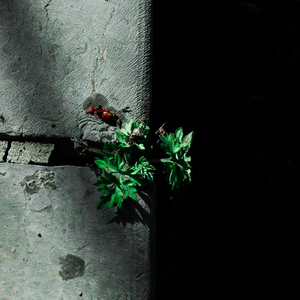 国产mv免费看1688
