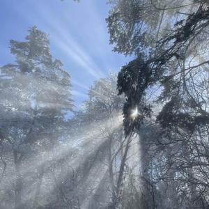 国产mv免费看1688
