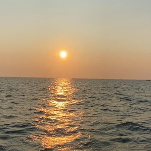 国产mv免费看1688
