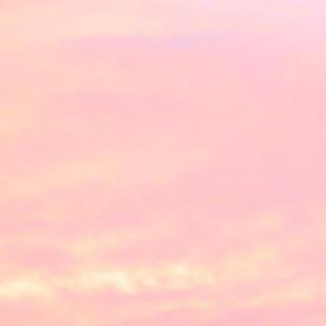 国产mv免费看1688
